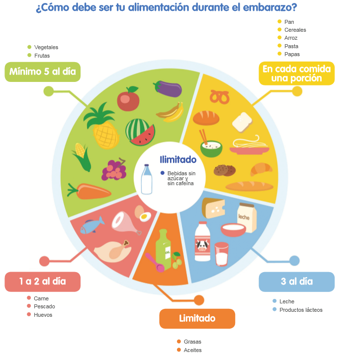 Infografía de como debe ser la alimentación en el embarazo
