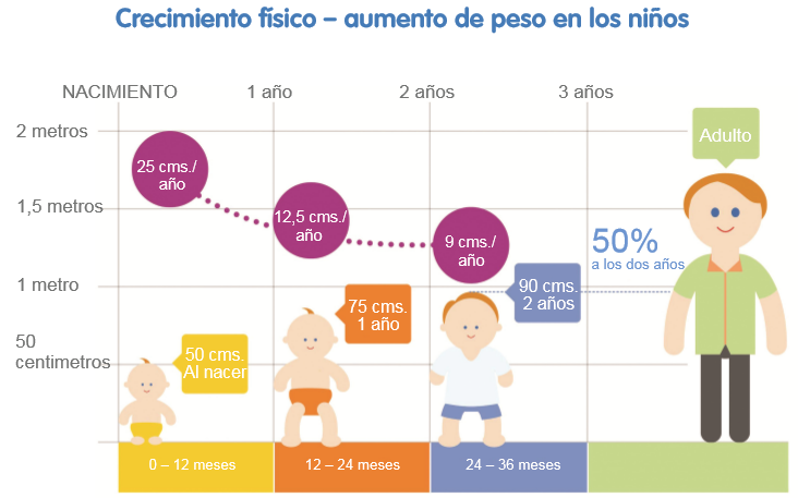Infografía crecimiento físico y aumento de peso en los niños