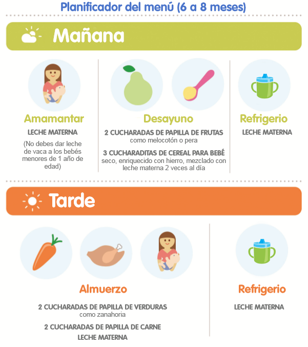 Infografia menú de comidas de niños de 6 a 8 meses
